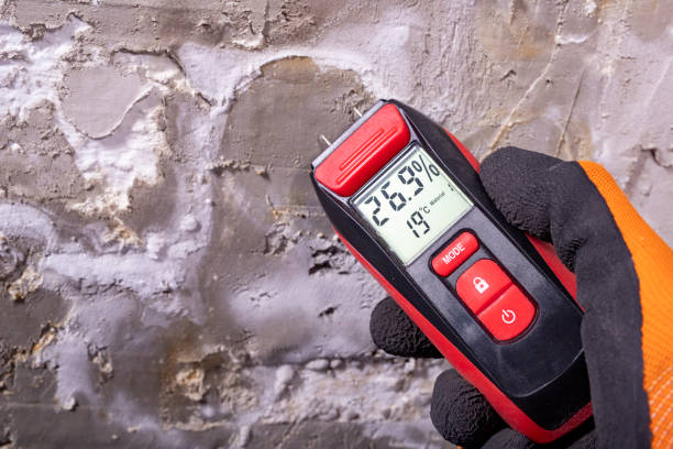 Best Crawl Space Mold Removal  in El Paso De Robles, CA