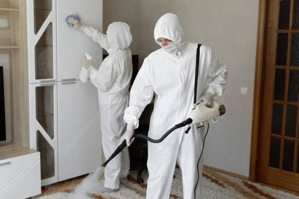 Attic Mold Removal in El Paso De Robles, CA